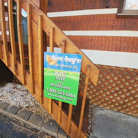 Puppy Love #1619 Gatlinburg Bagian luar foto