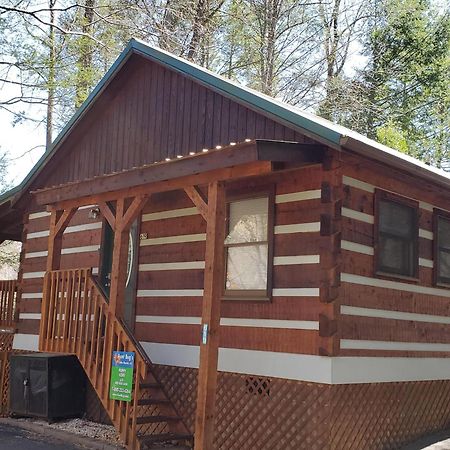 Puppy Love #1619 Gatlinburg Bagian luar foto